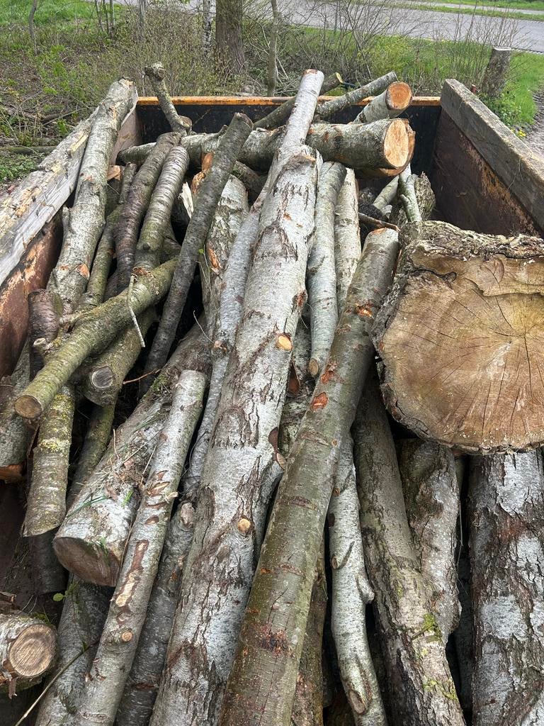 Elzen haardhout - ca. 3 kuub, 3 tot 6 m³, Ophalen, Elzenhout, Blokken