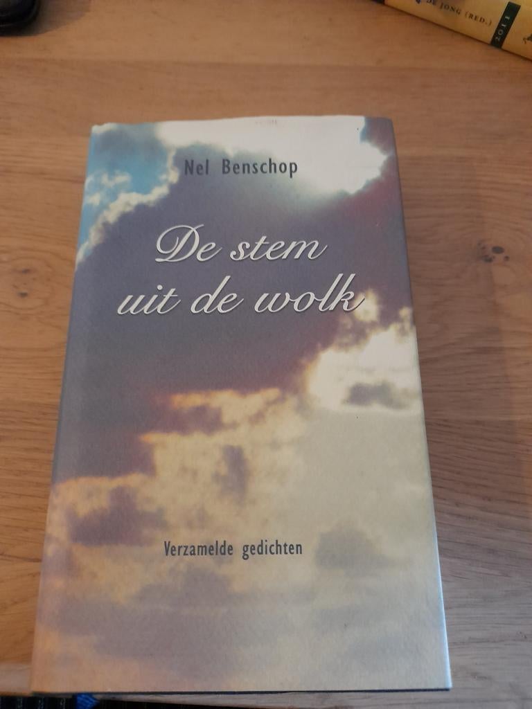 Nel Benschop - De stem uit de wolk, Boeken, Ophalen of Verzenden, Zo goed als nieuw, Nel Benschop