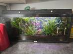 Juwel aquarium, Dieren en Toebehoren, Vissen | Aquaria en Toebehoren, Ophalen, Zo goed als nieuw, Gevuld zoetwateraquarium