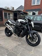 Mv agusta 920 brutale, Motoren, Motoren | MV Agusta, 920 cc, 4 cilinders, Super Sport, Particulier