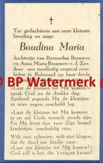 Brouwer Maria 1946 Bolsward - 20245, Verzamelen, Bidprentjes en Rouwkaarten, Bidprentje, Ophalen of Verzenden