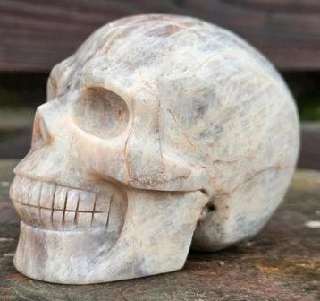 Super knappe belomoriet schedel  maansteen beschikbaar voor biedingen