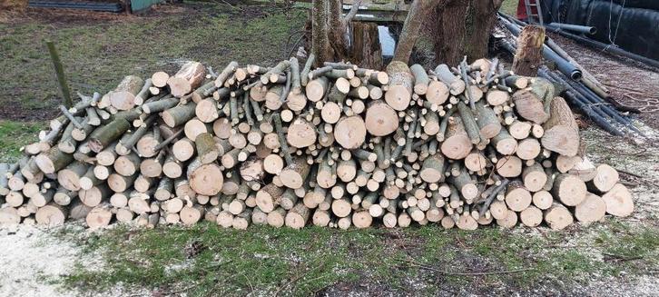 Openhaardhout, Tuin en Terras, Haardhout, Stammen, Overige houtsoorten, 3 tot 6 m³, Ophalen of Verzenden