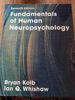 Fundamentals of Human Neuropsychology - 7th Edition, Boeken, Bryan Kolb, Ian Q. Whishaw, Zo goed als nieuw, Alpha, HBO
