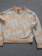 Kort truitje, H&M, Ophalen of Verzenden, Maat 34 (XS) of kleiner, Grijs