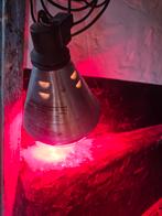 Warmtelampen, Dieren en Toebehoren, Meerdere dieren, Schaap