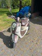 SYM Scooter, Gebruikt, Maximaal 45 km/u, Benzine, Ophalen