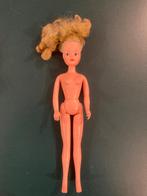 Sindy pedigree vintage pop blond haar pop jaren 80-90!, Ophalen of Verzenden, Gebruikt, Barbie