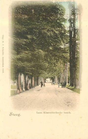 (380-172-017) De Steeg Laan Klarenbeeksche Bosch beschikbaar voor biedingen
