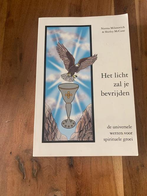 N. Milanovich - Het licht zal je bevrijden, Boeken, Filosofie, Zo goed als nieuw, Ophalen of Verzenden