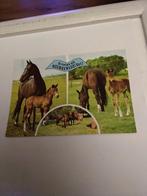 GROETEN UIT  HOENDERLOO. (VEL)  Paarden, Ophalen of Verzenden, Drenthe
