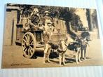 Hondenkar. Laitiere Flamande., Ophalen of Verzenden, Voor 1920, Ongelopen, Brussel (Gewest)