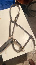 Oud leren halster en vliegenmasker, Dieren en Toebehoren, Ophalen of Verzenden, Gebruikt, Overige soorten