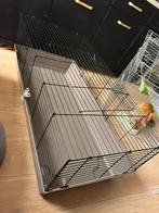 Dierenhok te koop, Dieren en Toebehoren, Kooi, 110 cm of meer, Zo goed als nieuw, Hamster