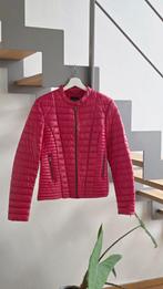 Guess gewatteerd rood jasje maat M, Maat 38/40 (M), Guess, Nieuw, Ophalen of Verzenden