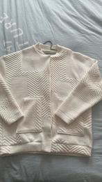 Heerlijk zacht jasje van Zara, Ophalen of Verzenden, Nieuw, Maat 34 (XS) of kleiner