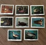 Zuid-Afrika Transkei 1992 Vogels eenden postfris, Ophalen of Verzenden, Zuid-Afrika, Postfris