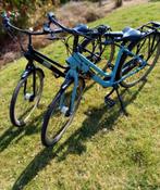 Exclusive | Gazelle Esprit Z.G.A.N. | H46 + H49 | 2 stuks, Fietsen en Brommers, Fietsen | Dames | Damesfietsen, Ophalen, 47 tot 50 cm