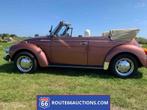 Volkswagen Kever Champagne Ed. cabriolet | Route 66 Auctions, Auto's, Oldtimers, Lederen bekleding, Overige carrosserieën, Bruin
