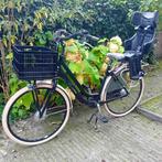 Cortina moederfiets incl. Bobike achterzitje, Fietsen en Brommers, Fietsen | Dames | Moederfietsen, Dubbele standaard, 1 zitje