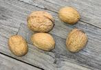 Walnoten, €4 per kilo, Diversen, Ophalen of Verzenden