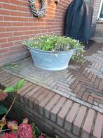 Gietijzeren teil, Overige materialen, Gebruikt, Ophalen of Verzenden, Minder dan 25 cm