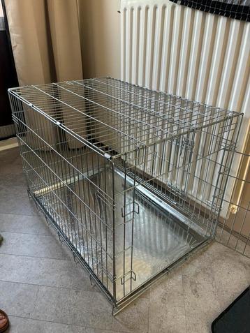 Bench hond beschikbaar voor biedingen