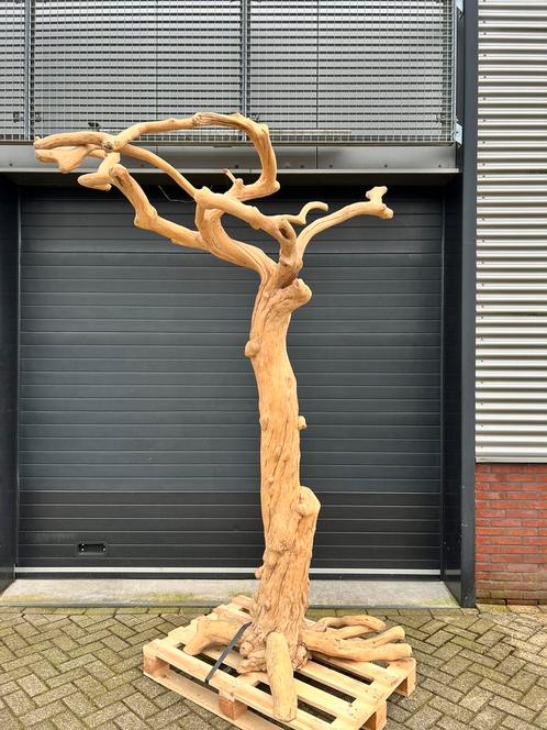 Java boom, Dieren en Toebehoren, Vogels | Toebehoren, Zo goed als nieuw, Ophalen