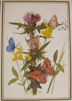 voor het kind - vlinders - aardhommel - 1979, Verzenden, 1960 tot 1980, Gelopen, Natuur