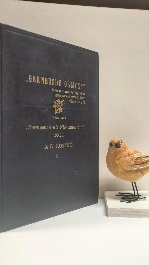 Rustige, Ds. D. ; Sermoenen uit Niemandsland :  Gekneusde, Boeken, Godsdienst en Theologie, Gelezen, Christendom | Protestants