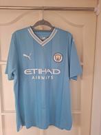 Manchester City Puma Shirt - Maat L, Blauw, Ophalen of Verzenden, Zo goed als nieuw, Voetbal