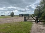 Stalling aangeboden wormer, Dieren en Toebehoren, Stalling en Weidegang, Stalling