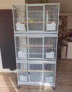 Montana 3 vaks papegaaien kooi kweek kooi nieuwstaat, Ophalen of Verzenden, Zo goed als nieuw, Metaal, Vogelkooi