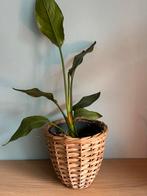 Vintage  poetsdoeken mand/ plantenbak, Ophalen, Overige materialen, Gebruikt, Rond