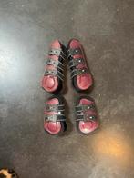 Peesbeschermer set COB qhp Champion, Dieren en Toebehoren, Ophalen of Verzenden