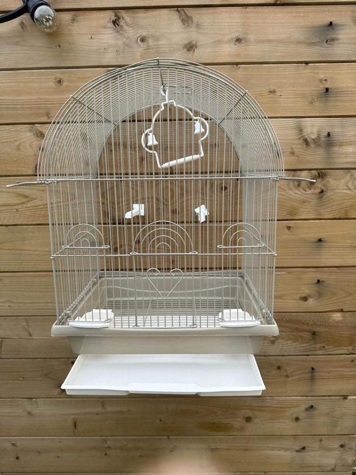 Vogelkooi Tweety, Dieren en Toebehoren, Vogels | Hokken en Kooien, Nieuw, Vogelkooi, Metaal, Ophalen