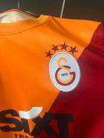 Gesigneerd Galatasaray T-shirt Patrick van Aanholt, Ophalen of Verzenden, Gedragen, Maat 48/50 (M), Oranje