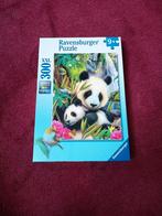 Puzzel 300 stukjes., Ophalen of Verzenden, Meer dan 50 stukjes, Zo goed als nieuw, 6 jaar of ouder