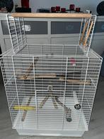 Vogelkooi big ara open, Dieren en Toebehoren, Vogels | Hokken en Kooien, Ophalen, Metaal, Vogelkooi