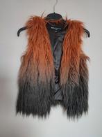 Leuk Vest, Expresso, Ophalen of Verzenden, Zo goed als nieuw, Maat 34 (XS) of kleiner