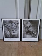 Twee schilderijen Elephant en Lion. 41 x 31 cm., Minder dan 50 cm, Gebruikt, Ophalen of Verzenden, Schilderij