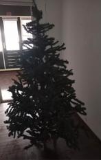 Verschillende kerstbomen te koop, Diversen, Kerst, Ophalen of Verzenden, Zo goed als nieuw