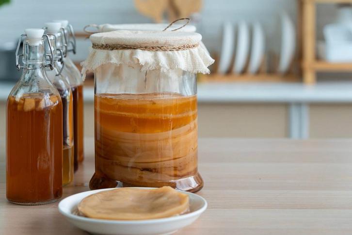 Kombucha SCOBY - Start je eigen brouwerij!, Diversen, Levensmiddelen, Ophalen of Verzenden