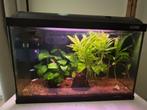 Compleet aquarium 60x30x40 cm, Dieren en Toebehoren, Vissen | Aquaria en Toebehoren, Ophalen, Gebruikt, Gevuld zoetwateraquarium