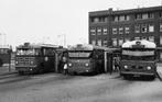 RET542 HOLLAND SAURER busfoto Schiedam, Verzenden, 1980 tot heden, Zuid-Holland