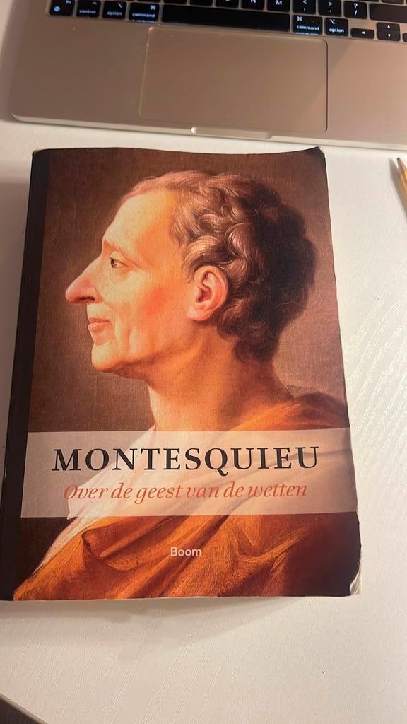 Montesquieu - Over de geest van de wetten, Boeken, Filosofie, Zo goed als nieuw, Ophalen of Verzenden