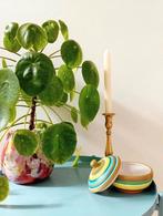 Terracotta potje met deksel, Ophalen of Verzenden, Gebruikt