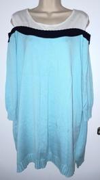 BigChic by Jagro trui maat 50/52, Kleding | Dames, Grote Maten, Ophalen of Verzenden, Zo goed als nieuw, Blauw, Trui of Vest