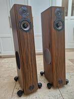 Audio Physic Virgo V / 5, Audio, Tv en Foto, Luidsprekers, Gebruikt, 120 watt of meer, Front, Rear of Stereo speakers, Ophalen