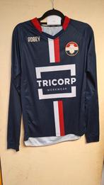Willem II shirt 2015-2016 Denk L, Ophalen of Verzenden, Gebruikt, Willem II, Shirt